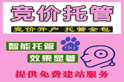 家居行业SEM运营推广案例