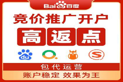 某电商平台的SEM推广策略全解析